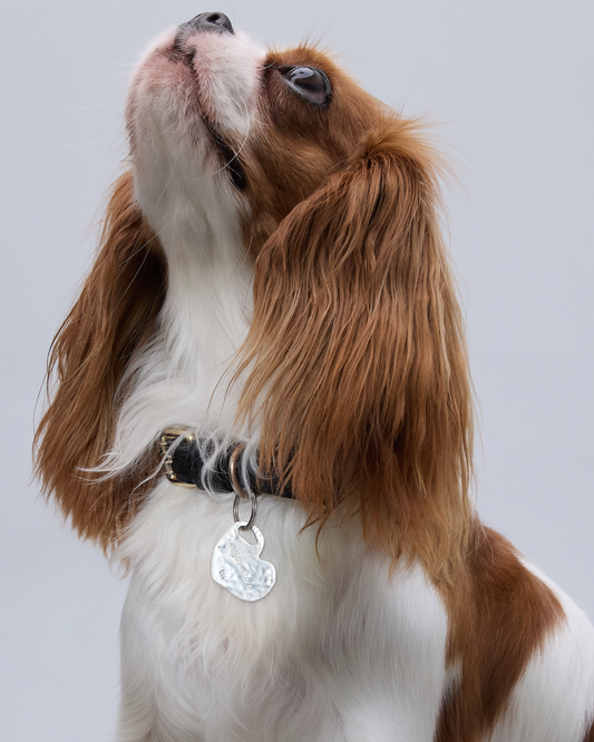 Heart Charm (Pendant Only) hover image