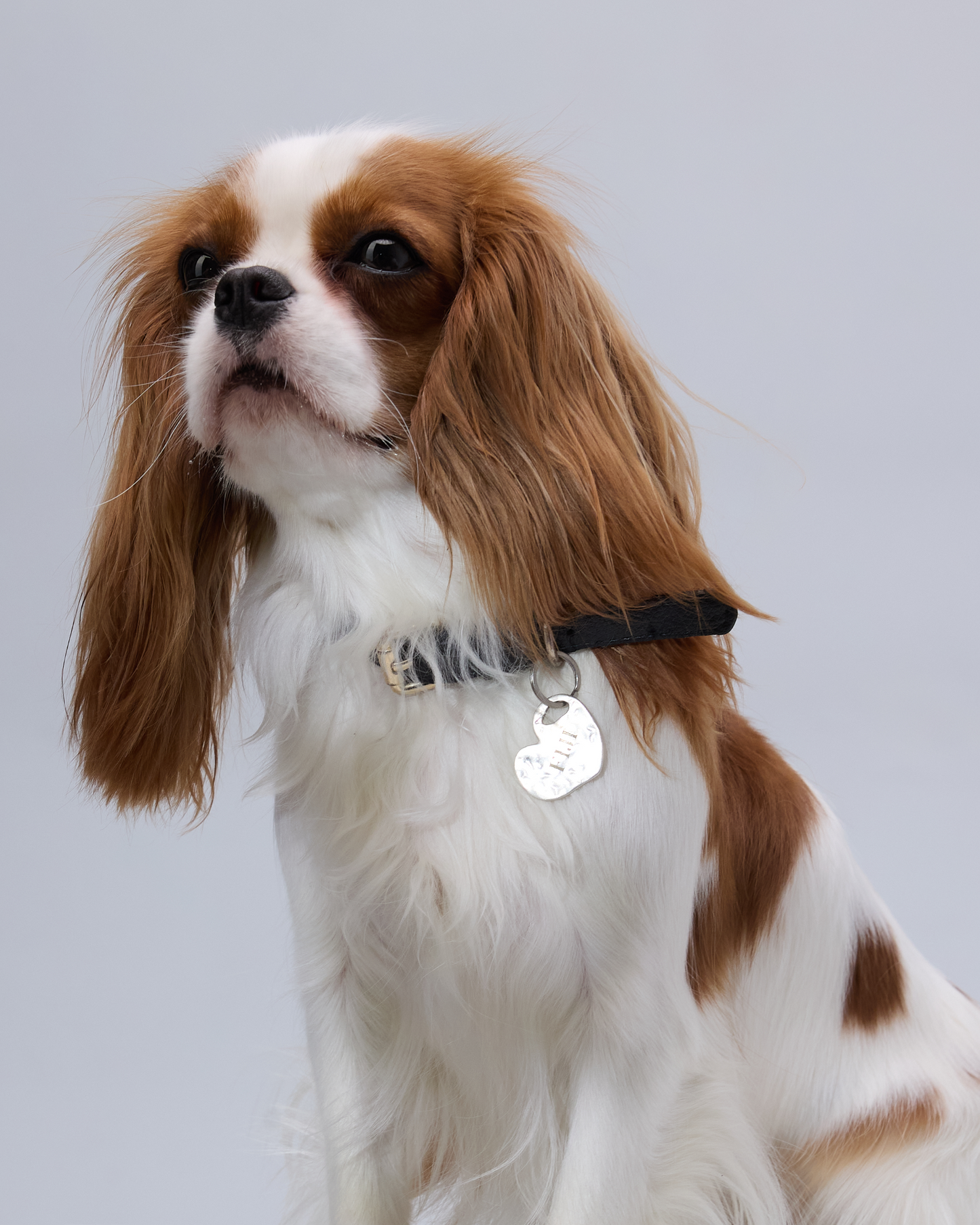 Heart Charm (Pendant Only)